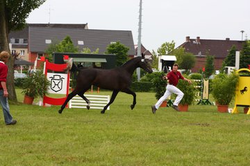Bild 69 - Elmshorn am 9.6.10